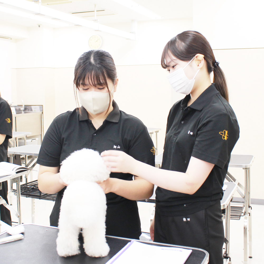 動物看護実習☆